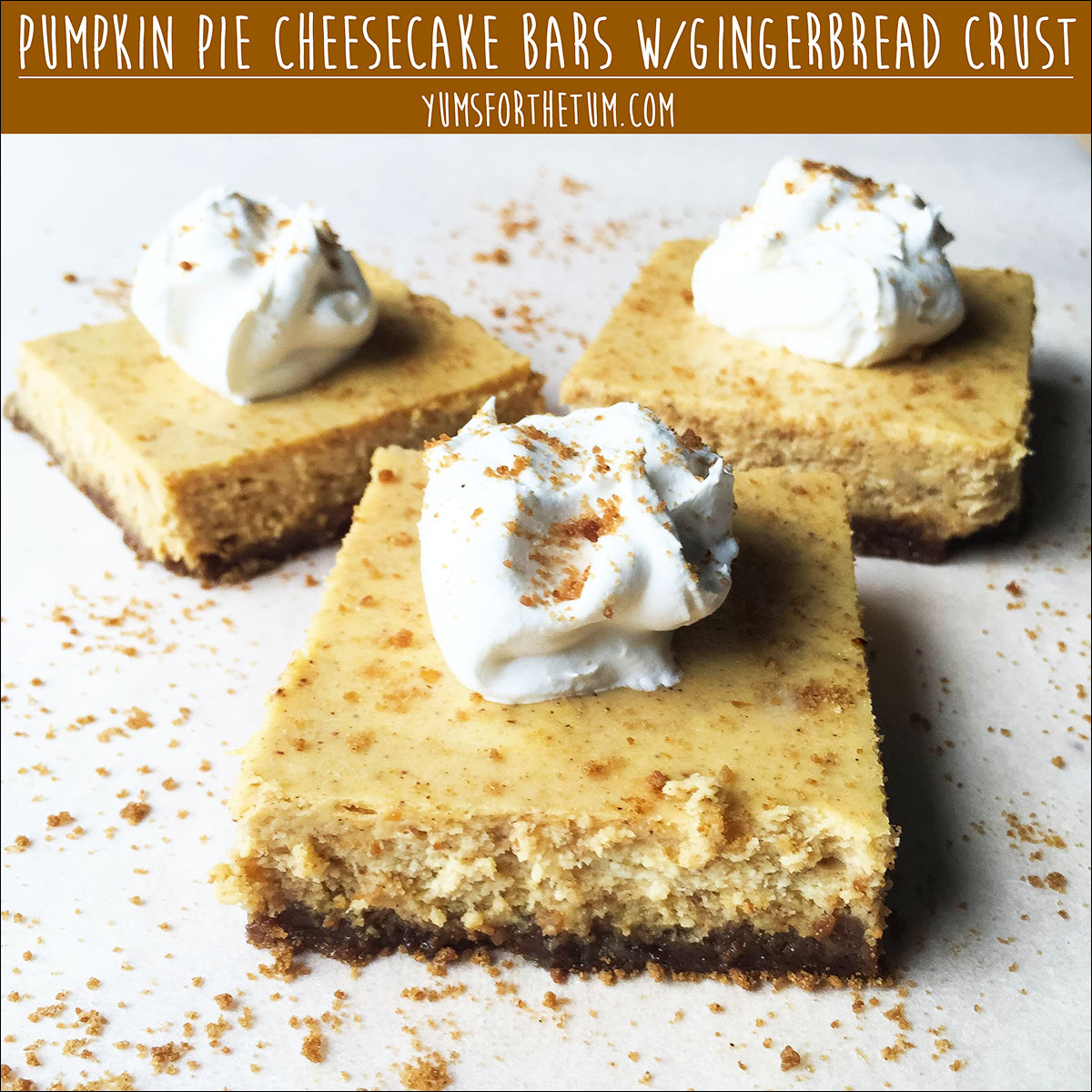 Pumpkin Pie Cheesecake Bars With Gingerbread Crust